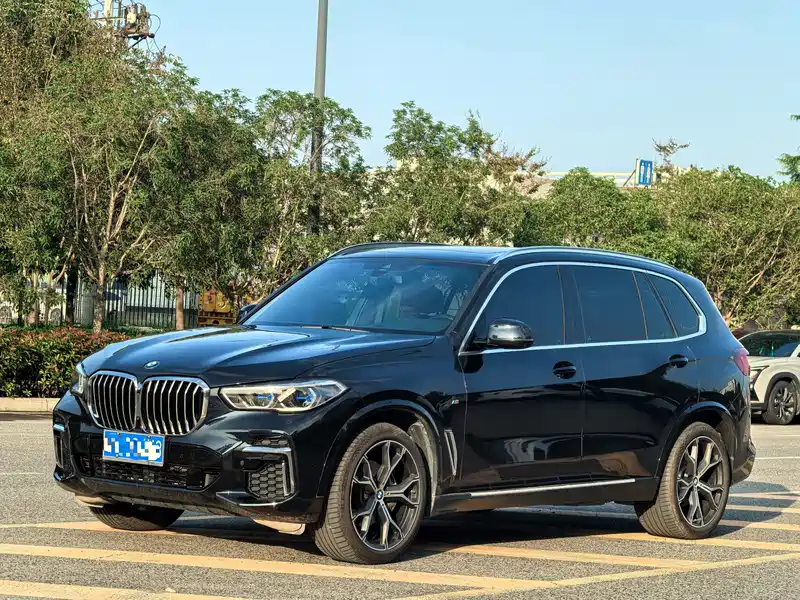 宝马x5二手车-宝马X5二手车-第1张图片