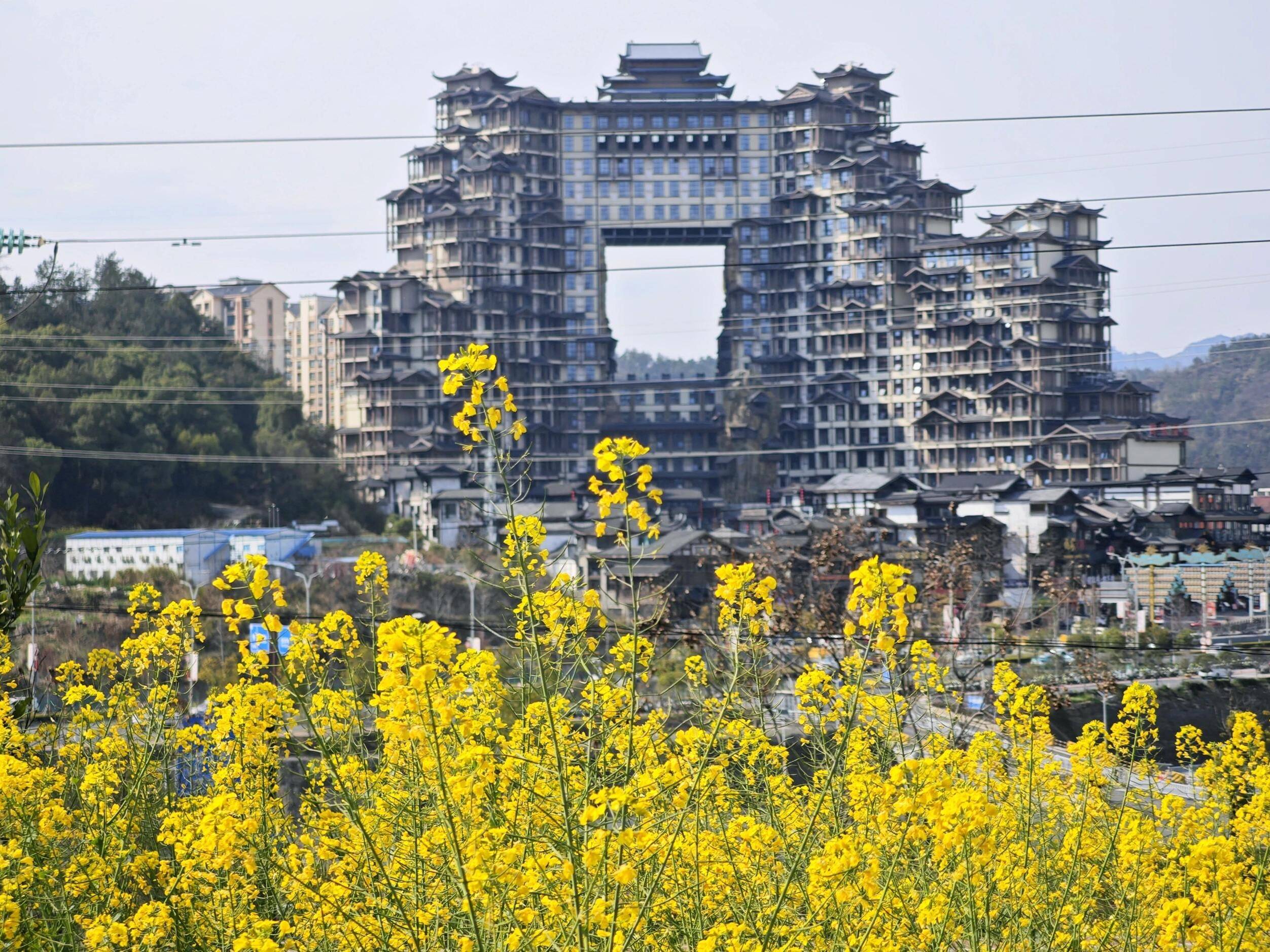 张家界旅游团-张家界旅游团报价-第1张图片