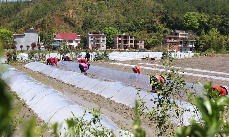 「兴国是疫情地区吗今天」〃兴国是疫情地区吗今天最新消息-第3张图片