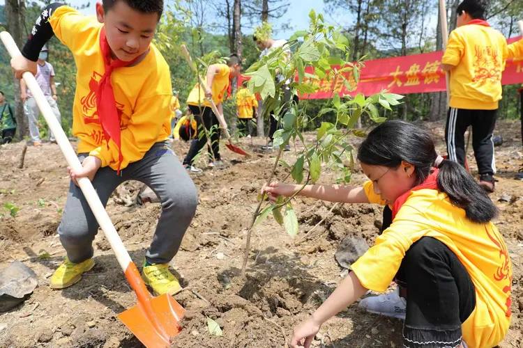 上海花木地区新冠疫情︰(上海花木地区范围)-第1张图片