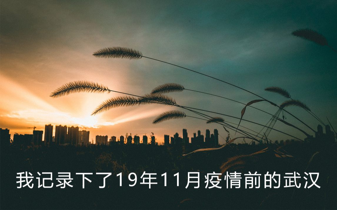 11月没有疫情的地区.11月疫情不可以去的地方-第1张图片