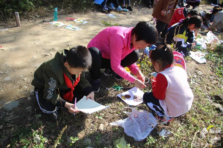 “野外学习2” 野外学习2汉化下载？-第2张图片