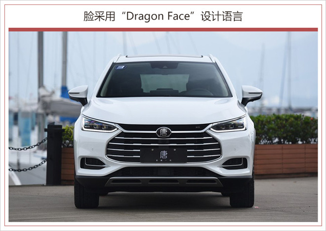 汽车标志唐是什么牌子.汽车标志唐字的是什么牌的-第2张图片