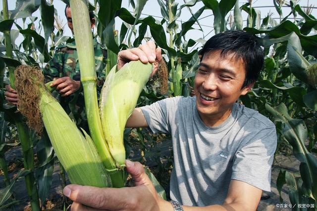 「疫情地区送菜员工资多少」〃疫情期间送菜老农-第2张图片