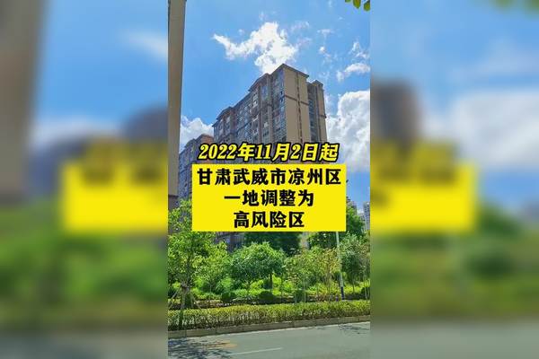 冒着疫情风险跨地区见面〃异地风险-第1张图片