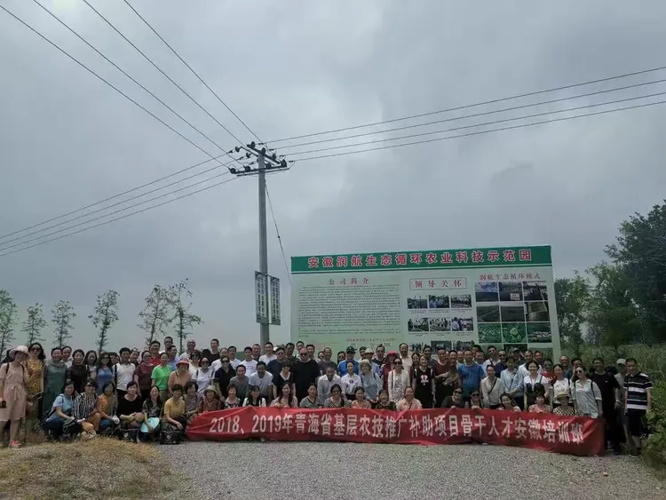 青海非洲猪瘟疫情地区,青海病毒-第1张图片