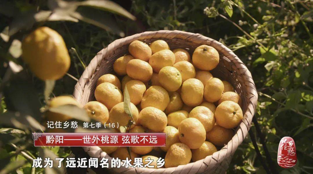 怀化哪些地区有疫情了-怀化是疫区吗-第3张图片