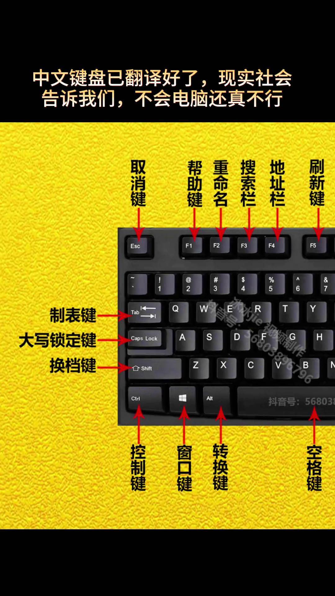 学习电脑软件,电脑学打字零基础软件哪个好-第1张图片