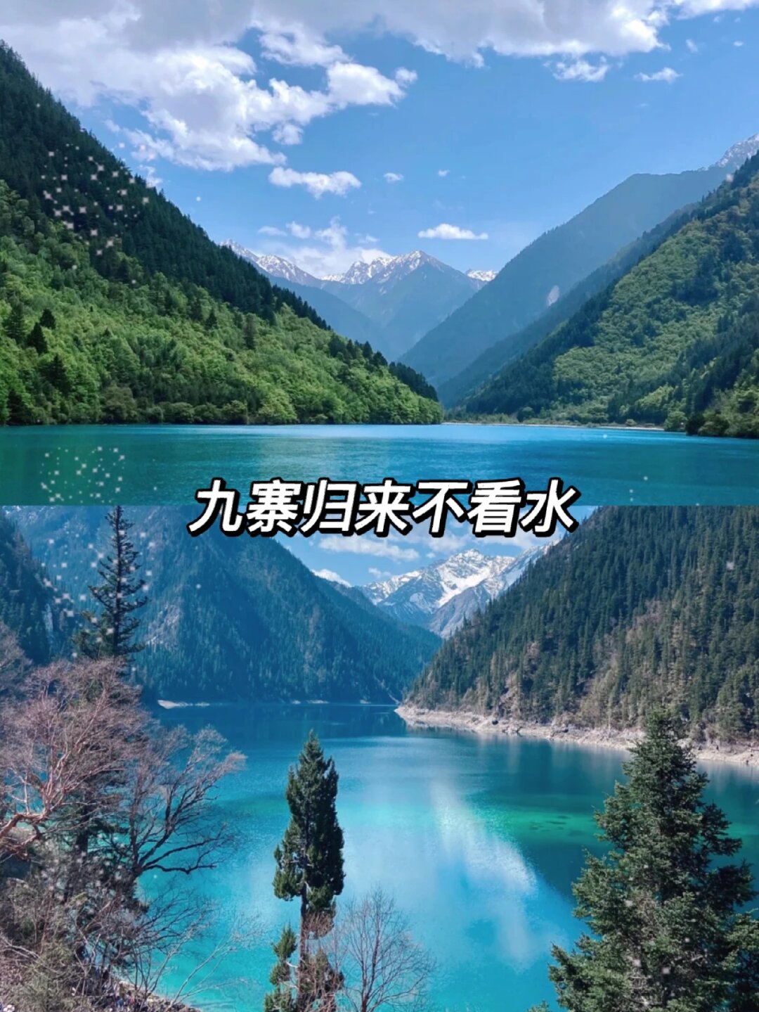 去九寨沟旅游报价,去九寨沟旅游报价查询-第2张图片
