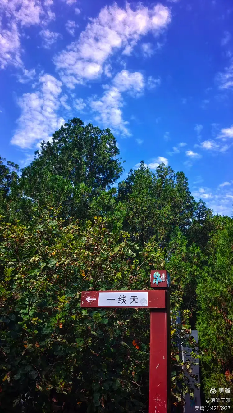 济南龙洞地区有疫情吗〃济南龙洞风景区属于哪个区-第3张图片