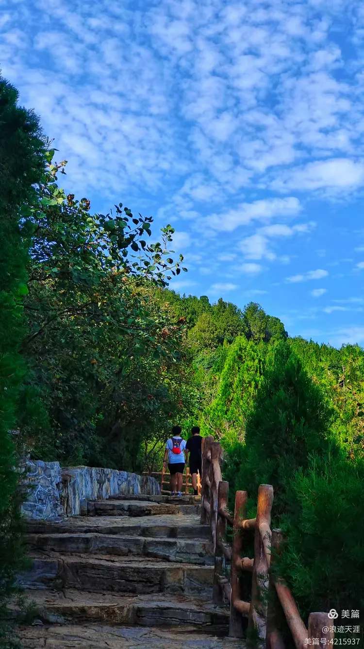 济南龙洞地区有疫情吗〃济南龙洞风景区属于哪个区-第2张图片