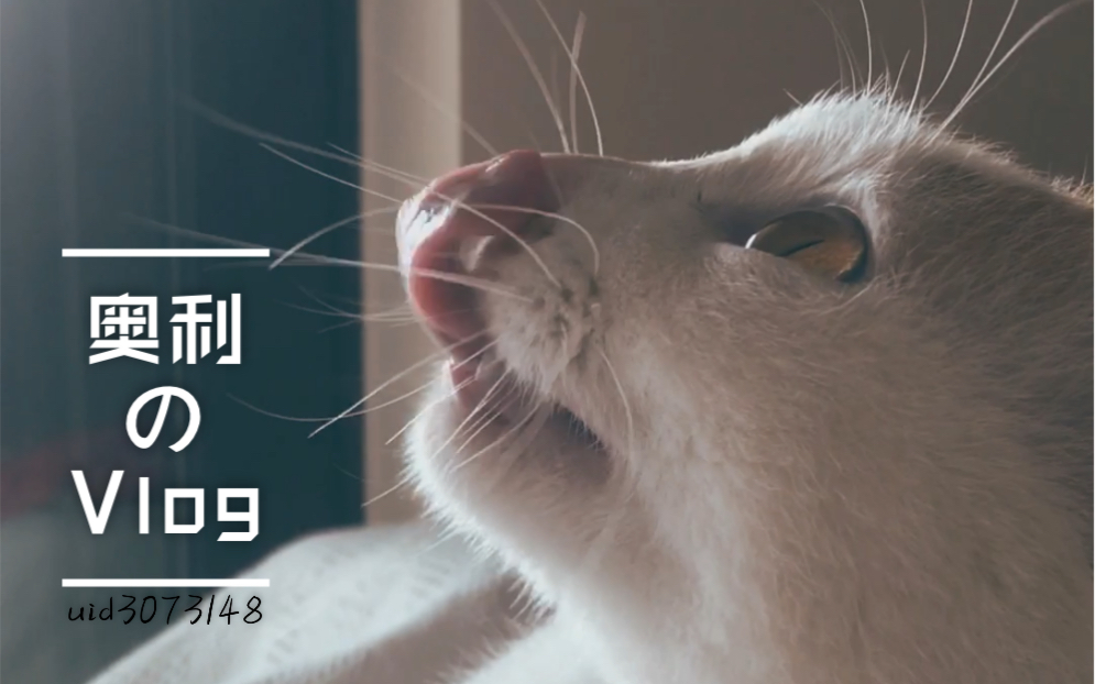 呼市地区刺猬疫情情况︰(呼市地区刺猬疫情情况如何)-第1张图片