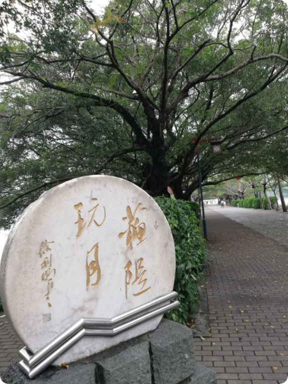 惠州旅游必去前十景点-惠州旅游必去前十景点自驾游攻略-第2张图片