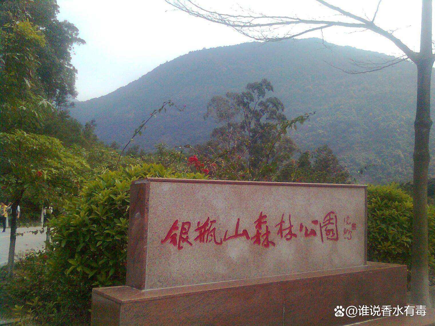 “东莞旅游	” 东莞旅游必去前十景点？-第1张图片
