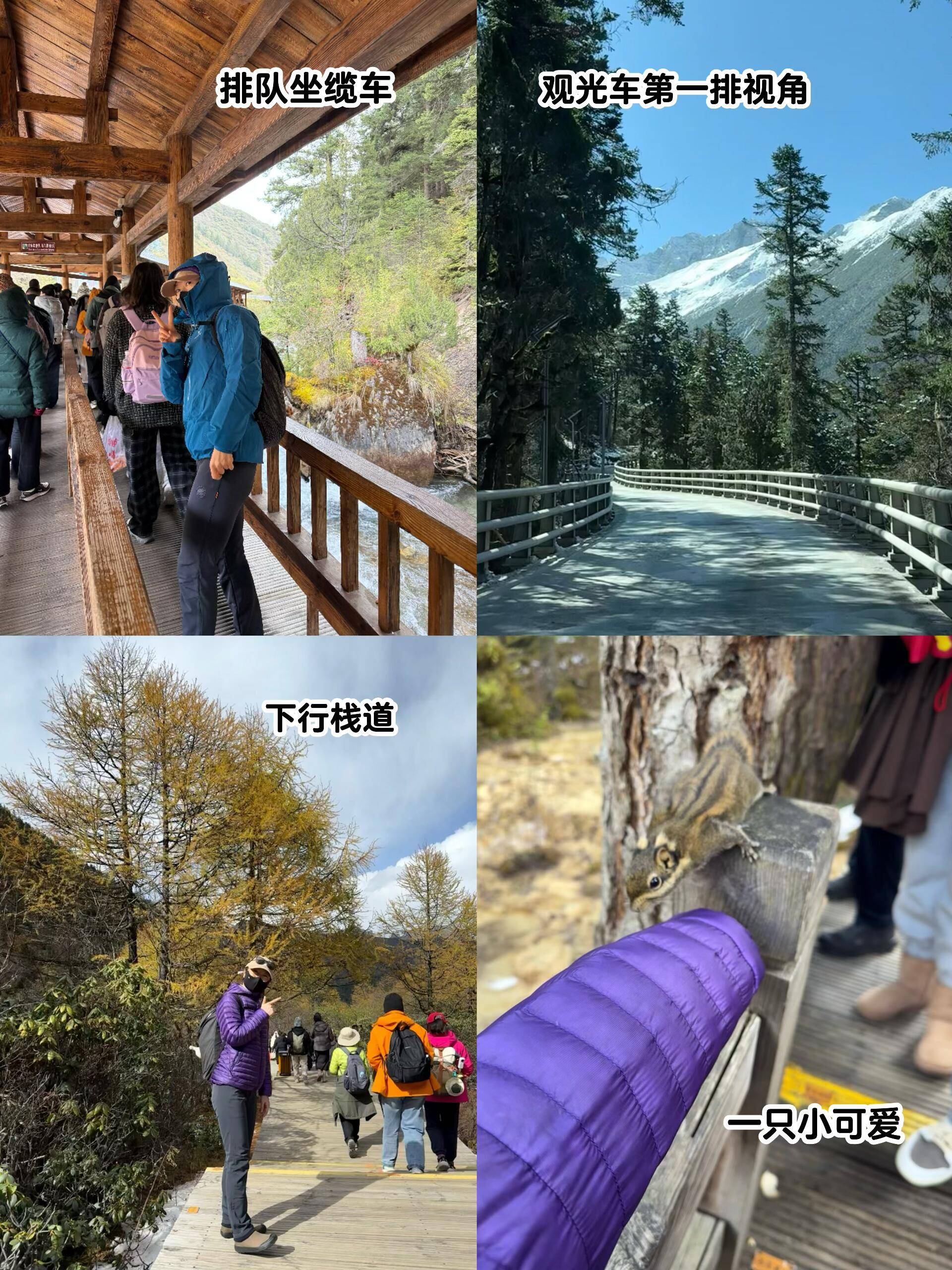 【四川旅游攻略五日游/70岁以上老人旅游团】-第3张图片
