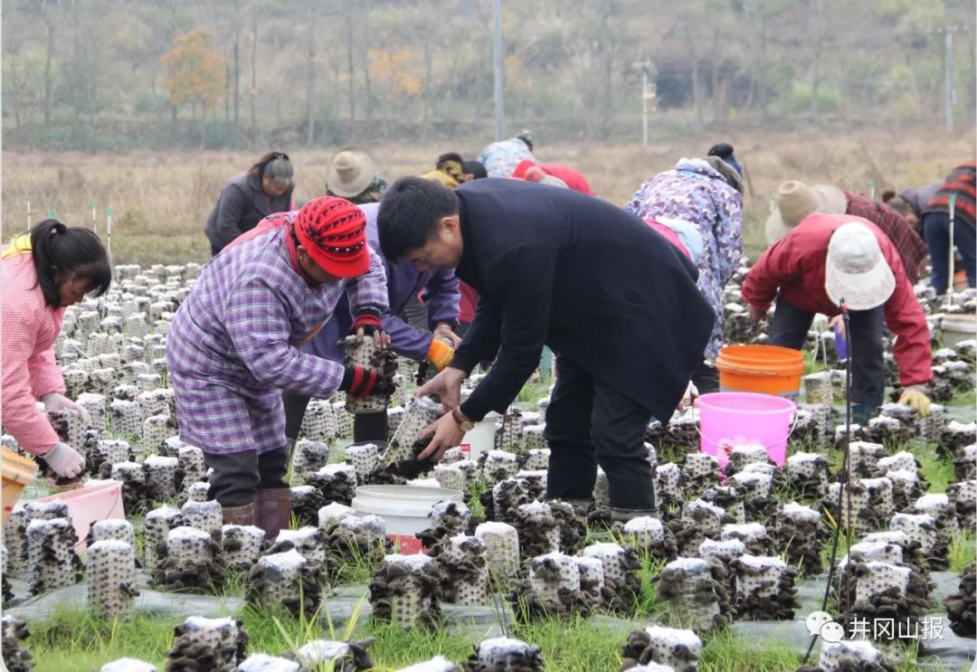 吉安有疫情地区嘛现在-吉安有疫情地区嘛现在怎么样-第3张图片