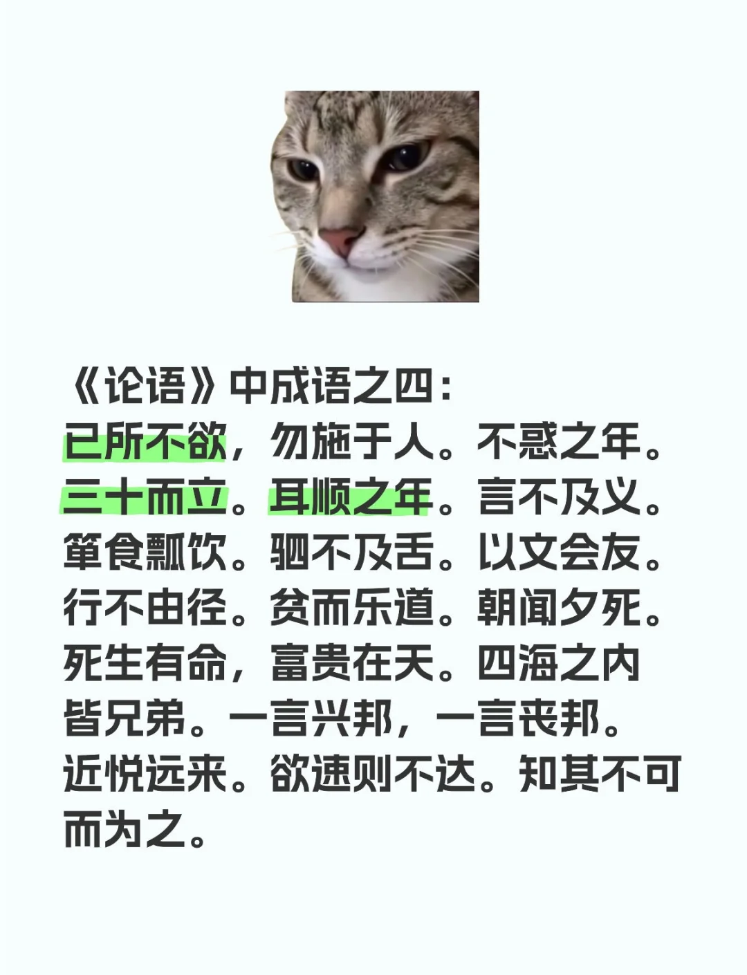 古人刻苦学习的成语〃表示古人刻苦学的成语-第3张图片