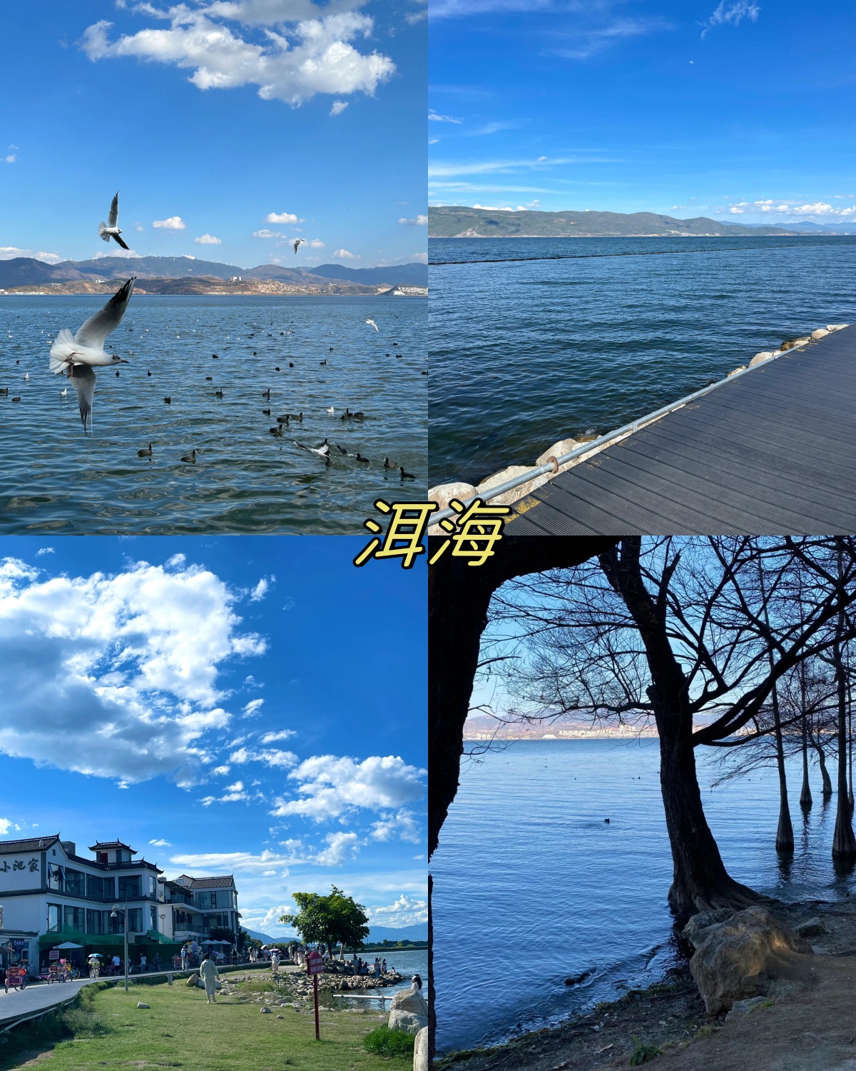 云南旅游景点推荐︰(云南旅游景点推荐以及线路介绍)-第1张图片
