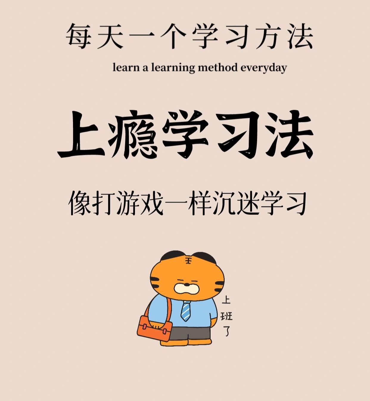 网管学习.网管自学-第2张图片