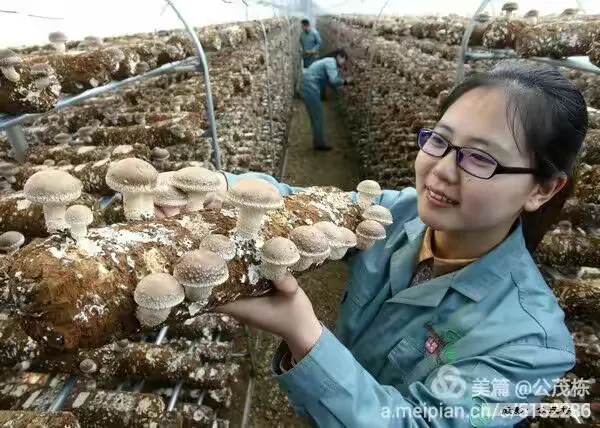 蒙阴是什么病毒疫情地区︰(蒙阴县疫情通报)-第1张图片