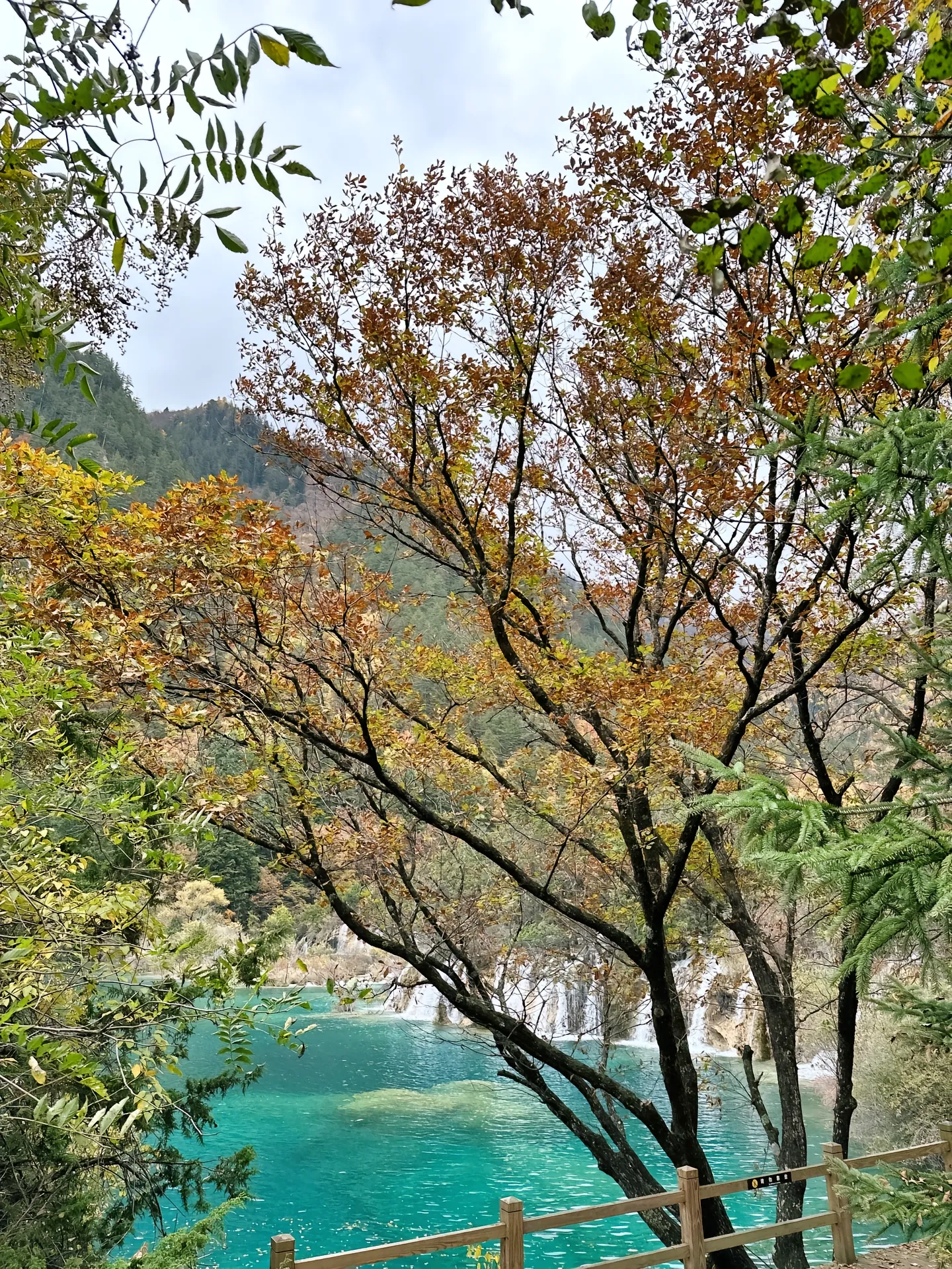 【九寨沟旅游攻略自助游/甘南九寨沟旅游攻略自助游】-第3张图片