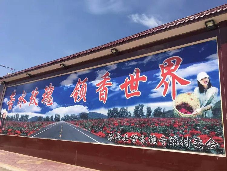 到永登怎么报备疫情地区.永登县最新疫情要求-第1张图片
