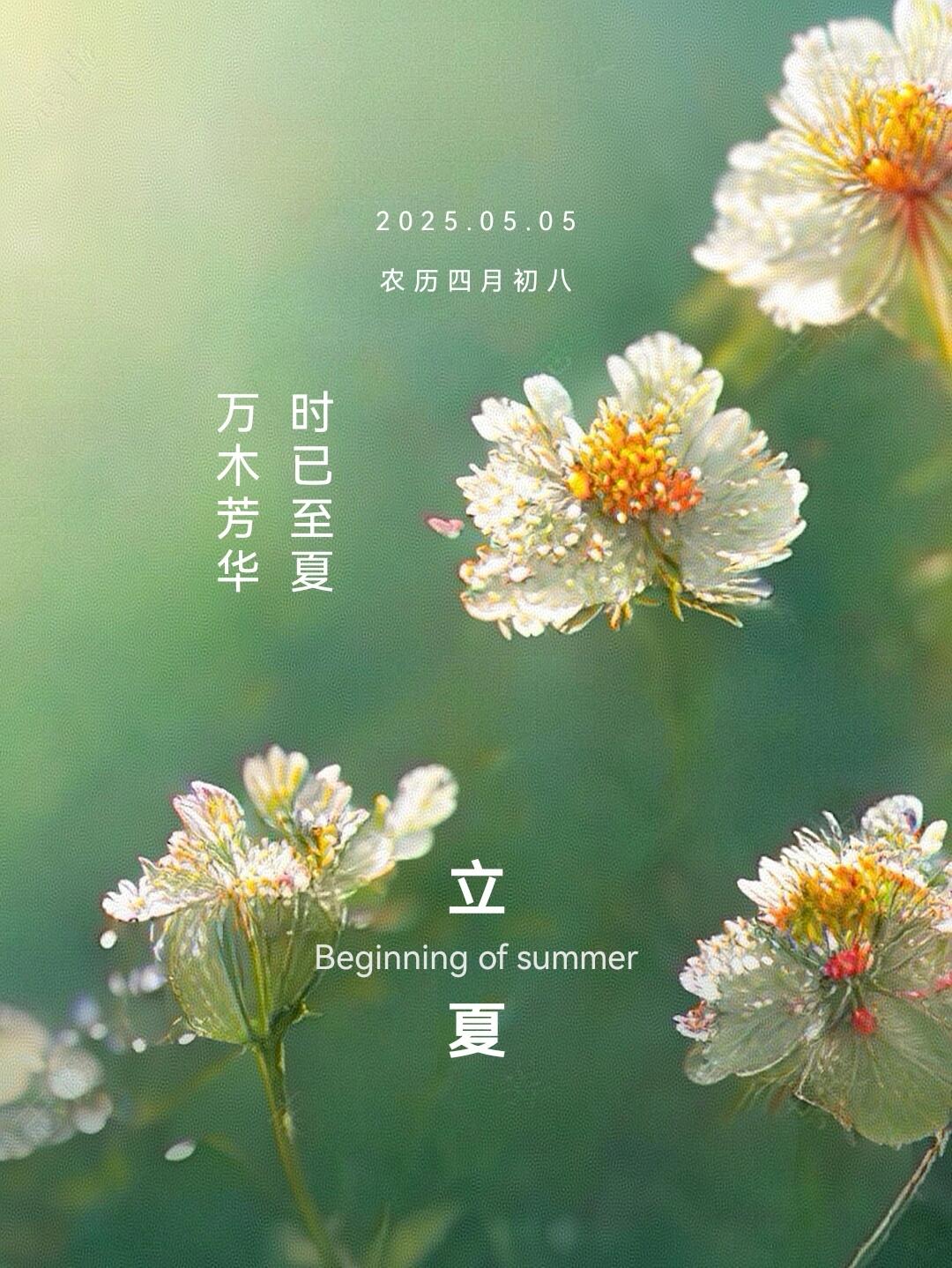 “今天立夏还在疫情地区吗	” 今天立夏节气什么意思？-第3张图片