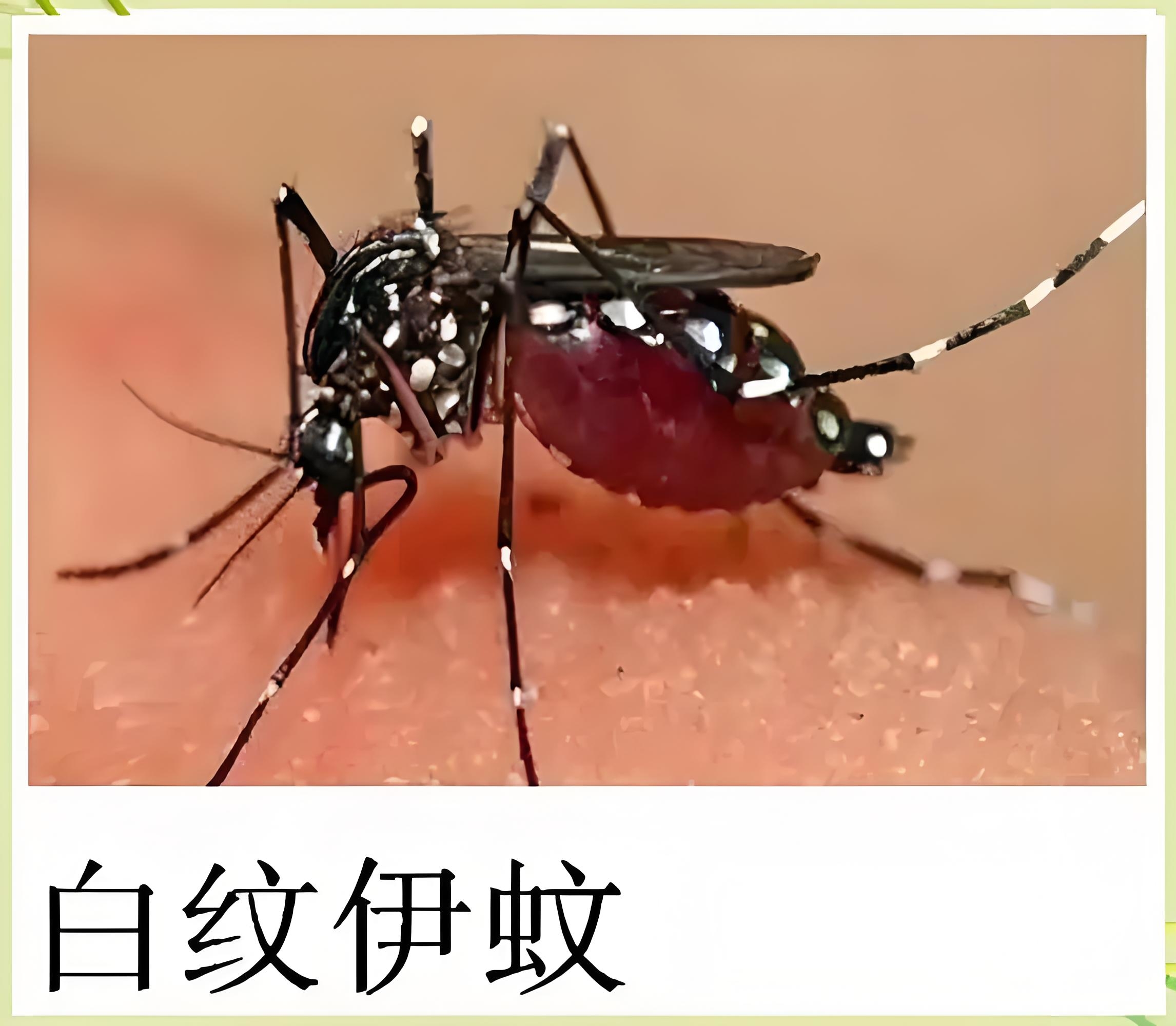 9月份疫情地区︰(9月底疫情)-第3张图片