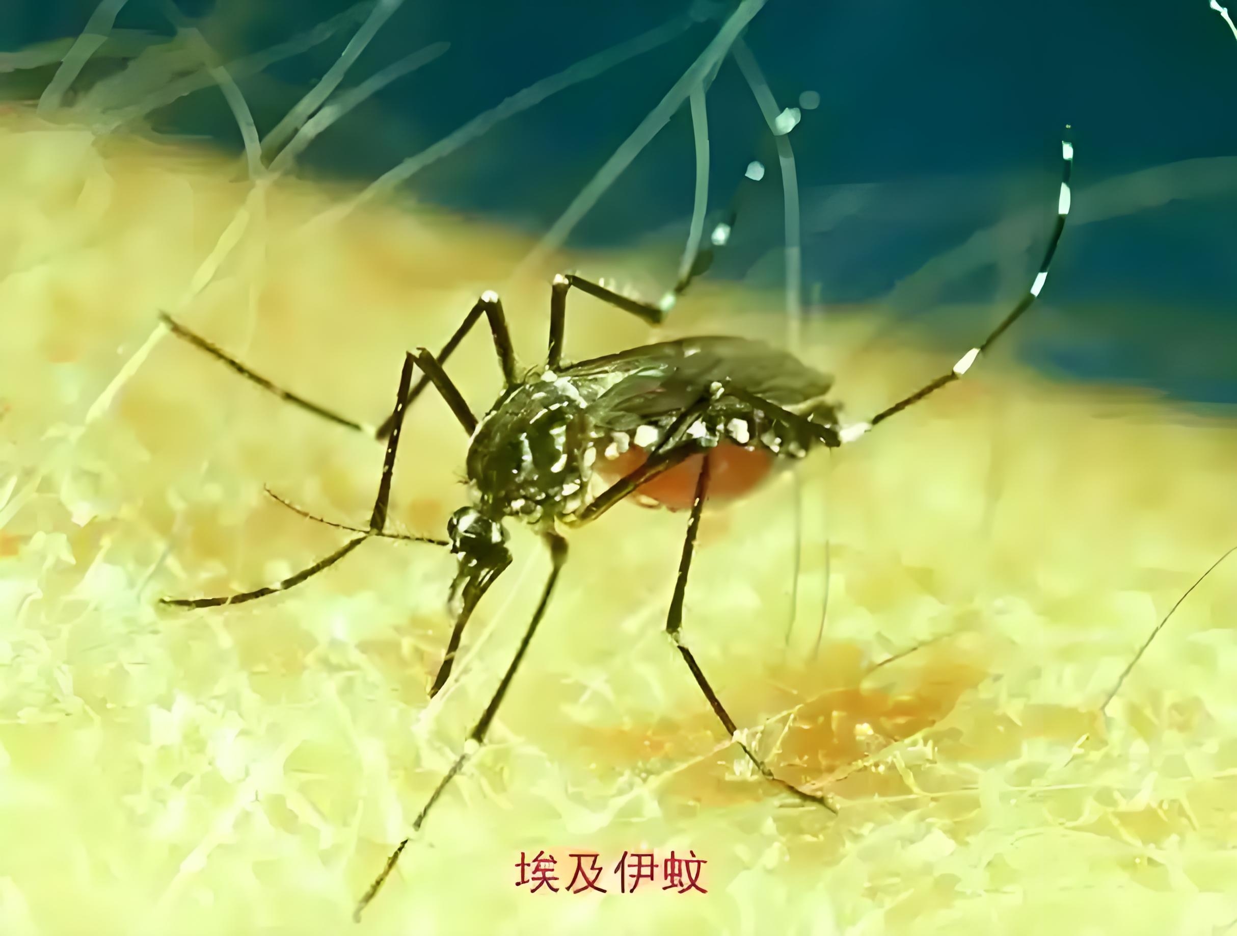 9月份疫情地区︰(9月底疫情)-第1张图片