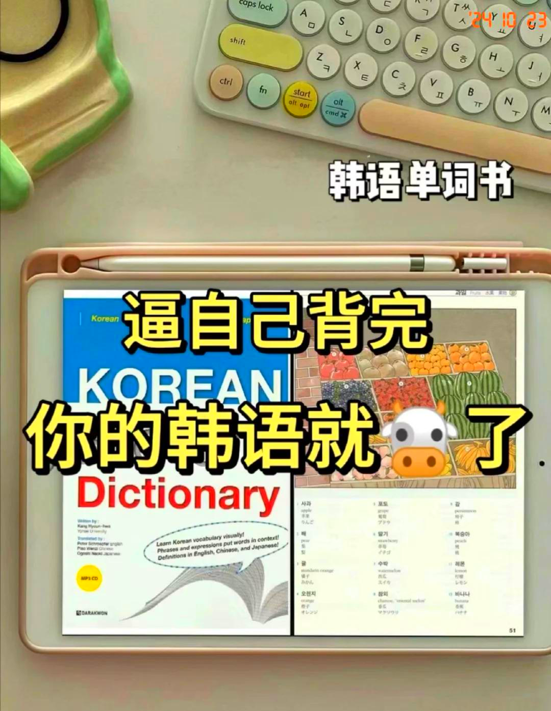 “韩语学习入门” 韩语新手一学就会？-第3张图片