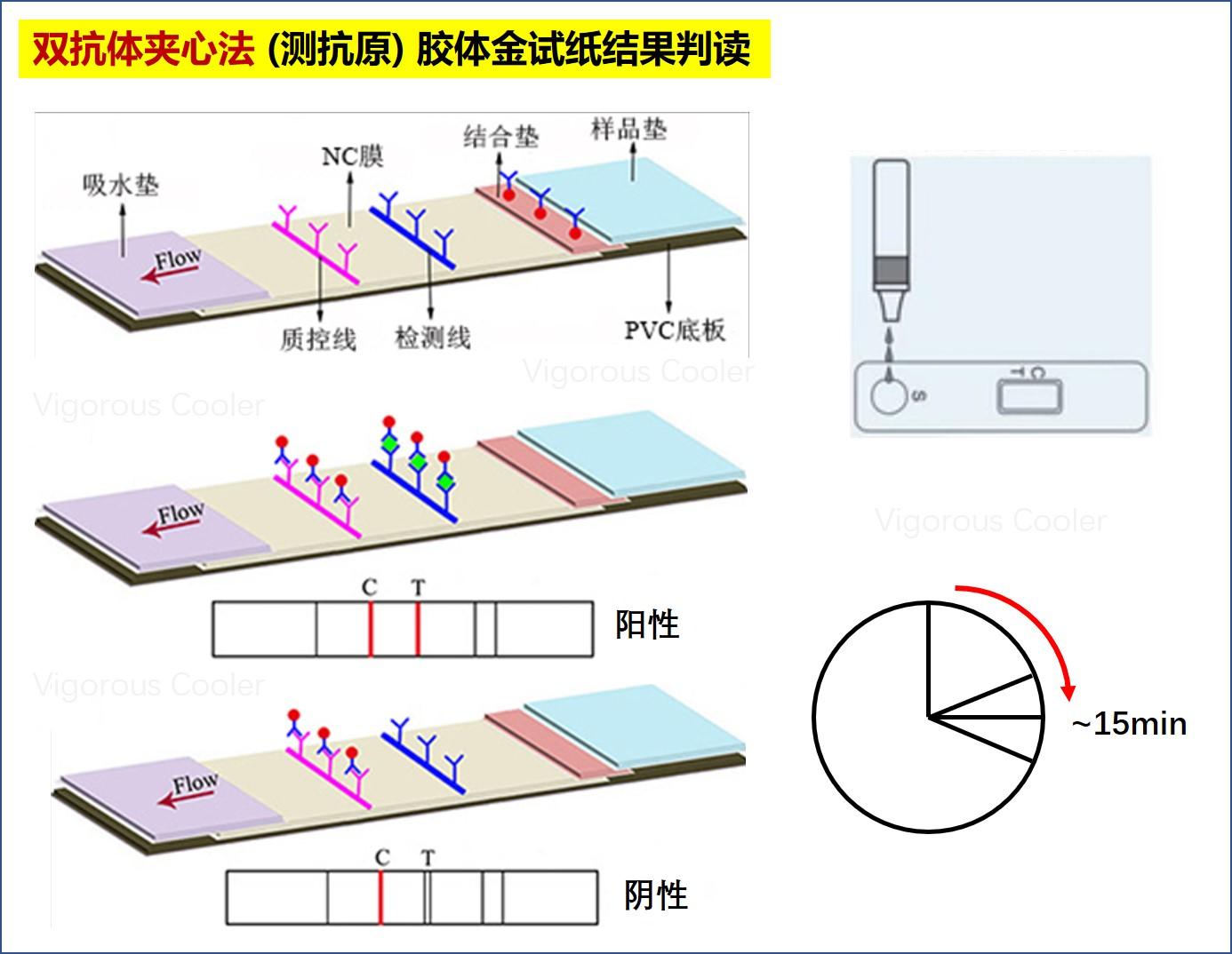 所属地区怎么查询疫情.怎么查询所在地疫情情况-第2张图片