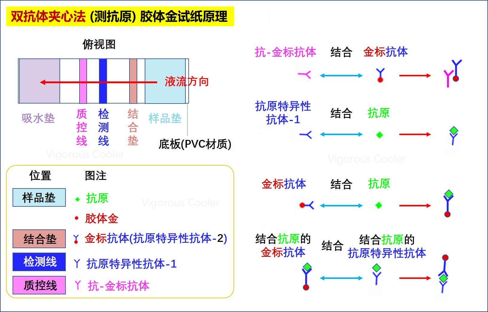 所属地区怎么查询疫情.怎么查询所在地疫情情况-第1张图片