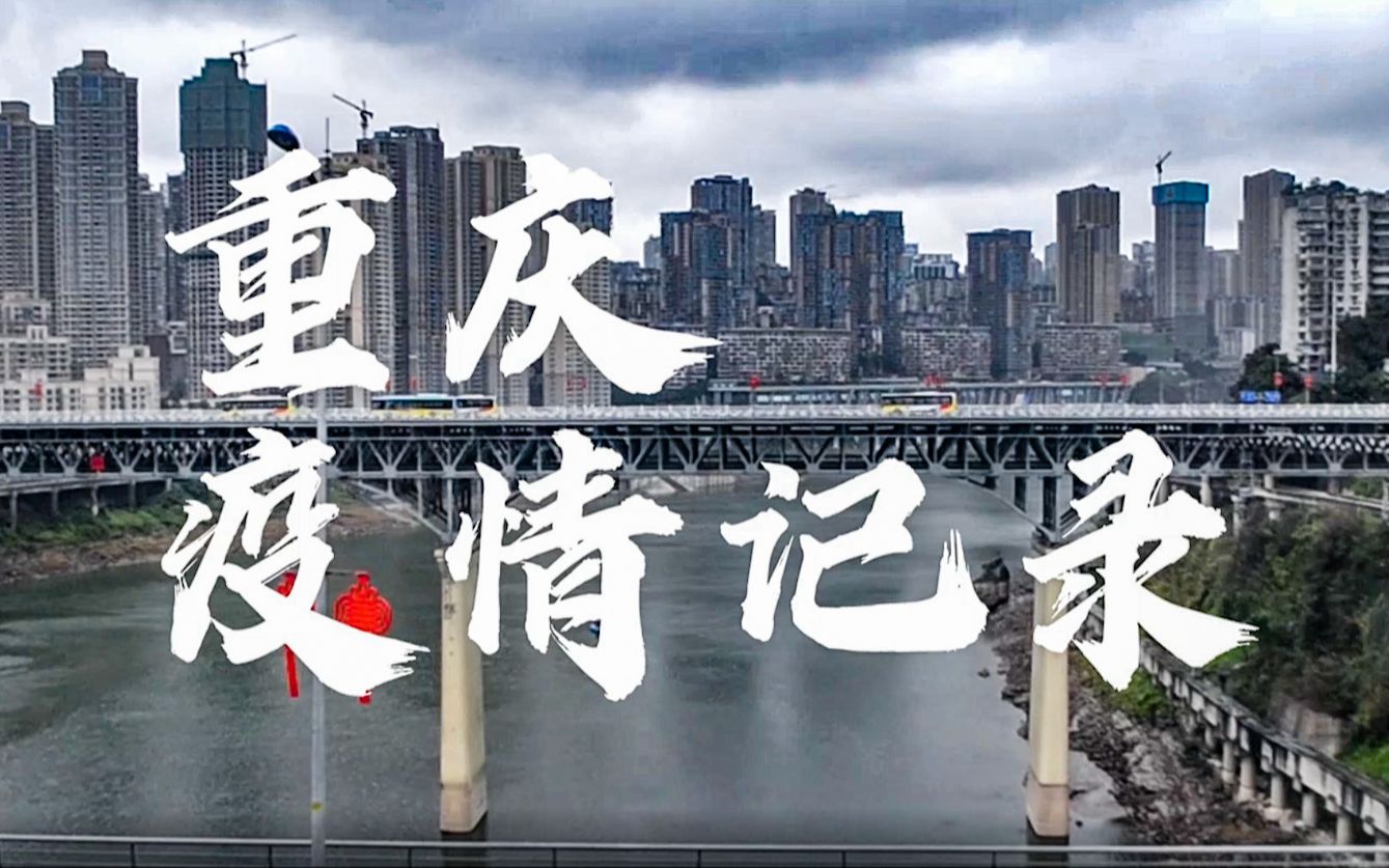 【重庆疫情算几级地区了/重庆市现在疫情属几级响应】-第2张图片