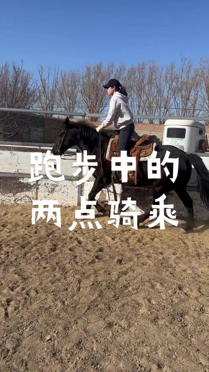 「马术学习」〃马术学了有什么用-第1张图片